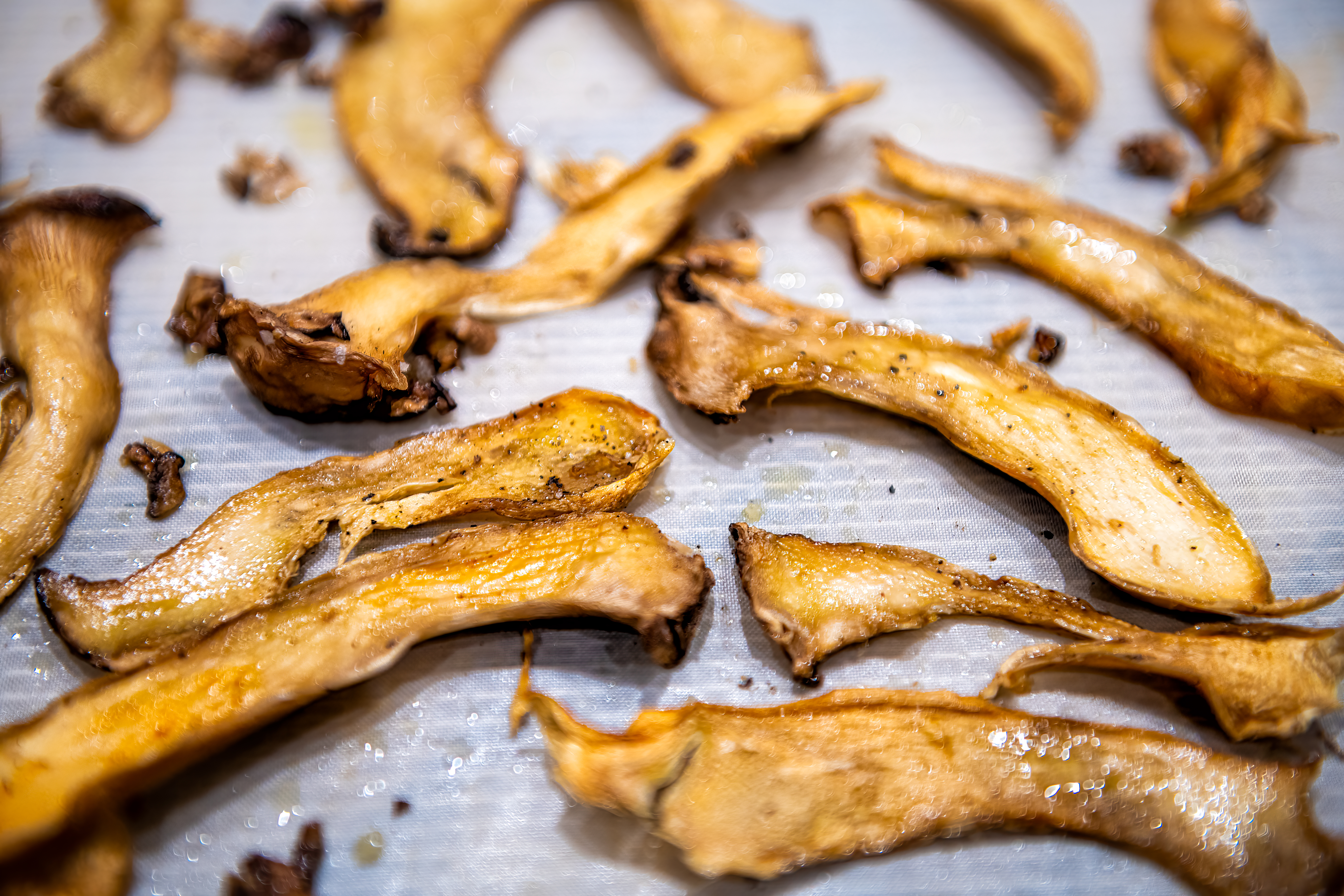 Studija pokazala: Proteini iz gljiva podjednako efikasni kao meso, a imaju i dodatne zdravstvene prednosti