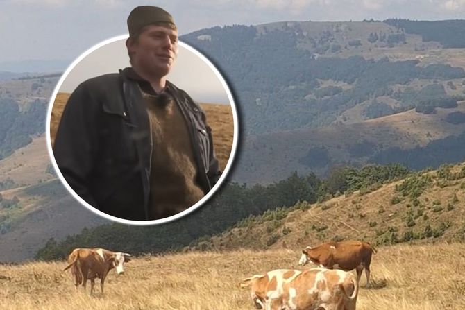 Golija, gorštak, dane bijorac Golija, gorštak, dane bijorac