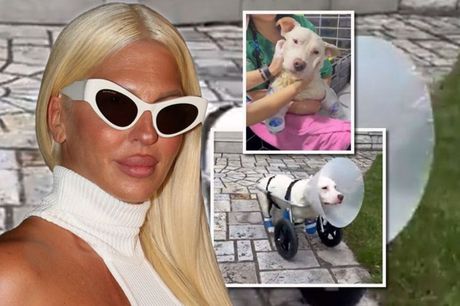 Jelena Karleuša Jelena Karleuša