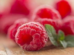Maline
