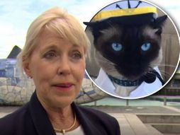 Holi Henesi i mačak Kapetan Holly Hennessey cat Captain