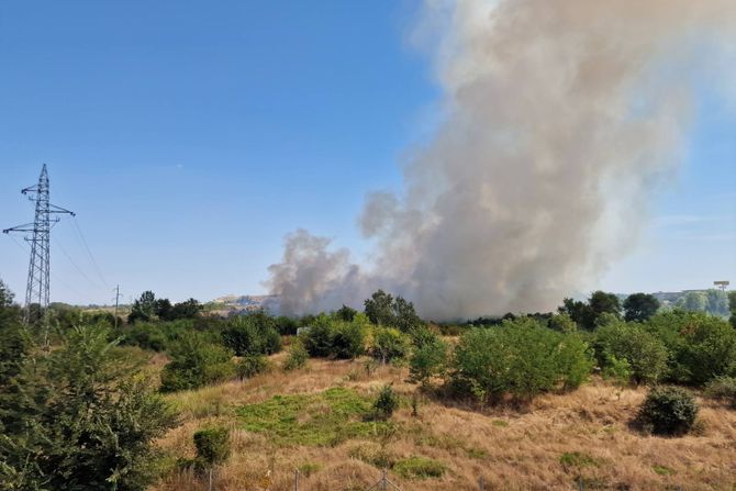 Požar deponija Novi Sad