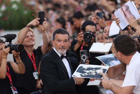 Venecija film festival