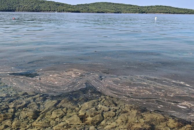 Šibenik