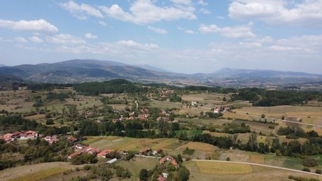 Babušnica