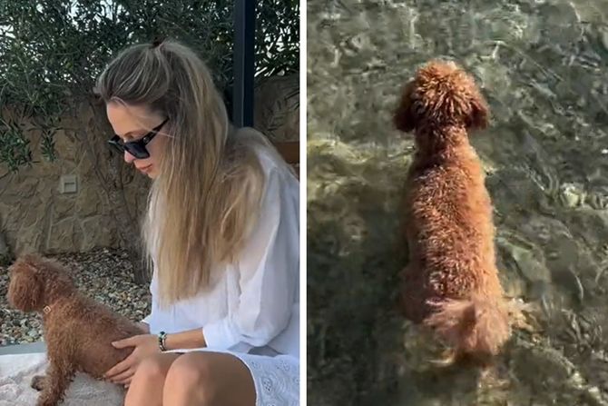 pas na plazi pas na plazi