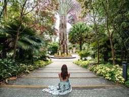 Gardens od the Bay, Singapur, park