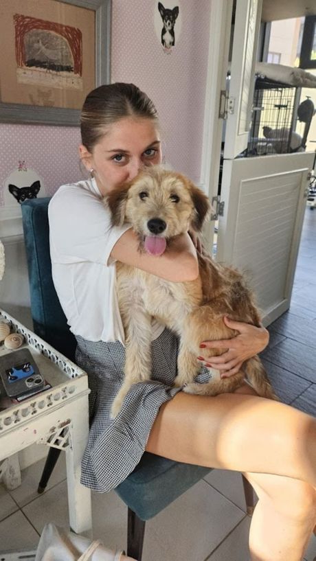 Ljubica pas za udomljavanje Ljubica pas za udomljavanje