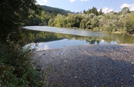 Reka Sava Slovenija Ekologija