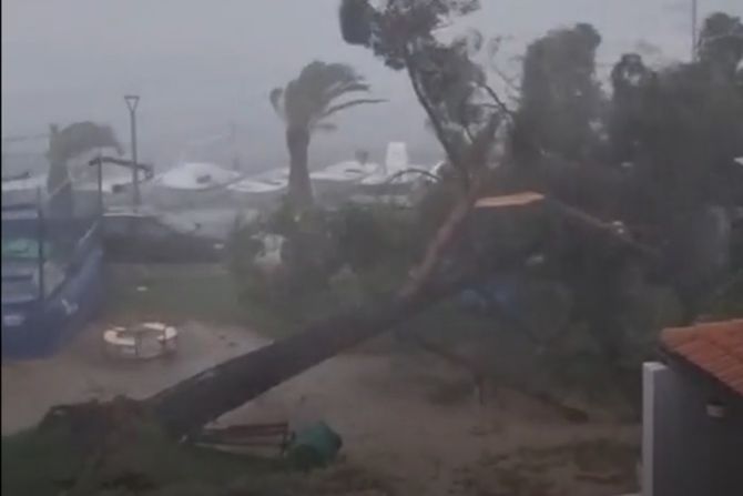 Olujni vetar iščupao drvo na Korčuli