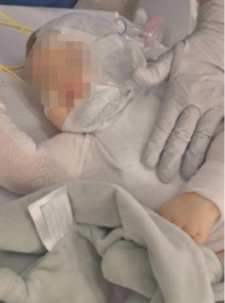 Luka Burgić Luka Burgić