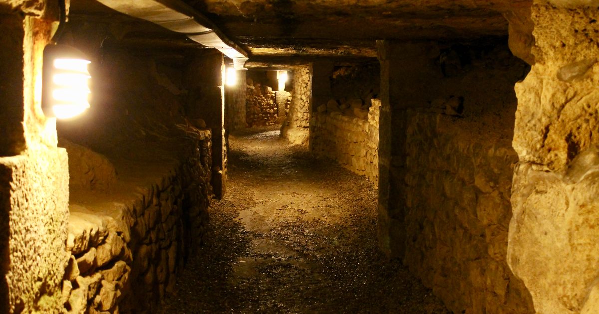 O hrabrim novosadskim vatrogascima priča cela Srbija: Zatekli šok scenu u katakombama, usledio herojski čin