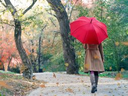 Djole Prognoza sneg kisa grmljavina munje sunce jesen list kisobran