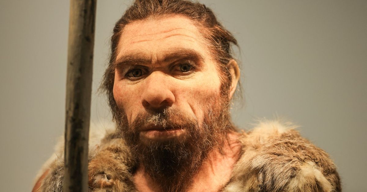 Unutrašnje uvo neandertalaca daje informacije o njihovom tajanstvenom poreklu