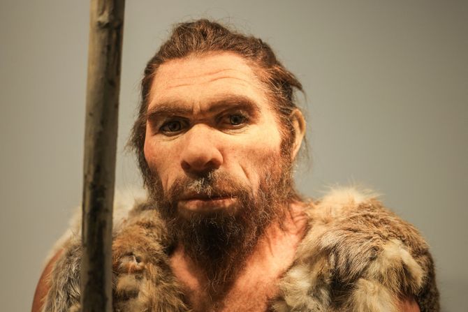 Neandertalac