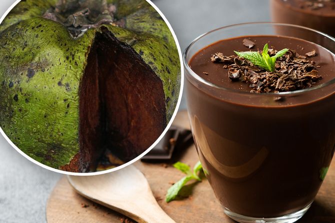 Voće Black Sapote Čokoladni Puding