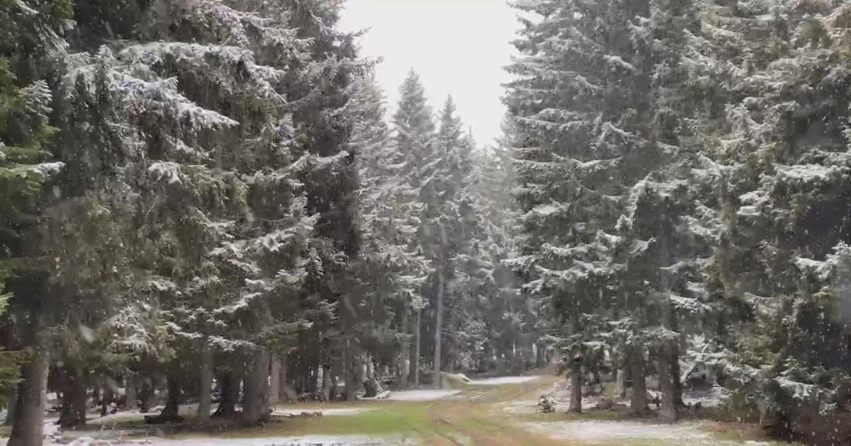 Pao prvi sneg u Srbiji: Nakon 30 stepeni, naglo zabelela Golija ...