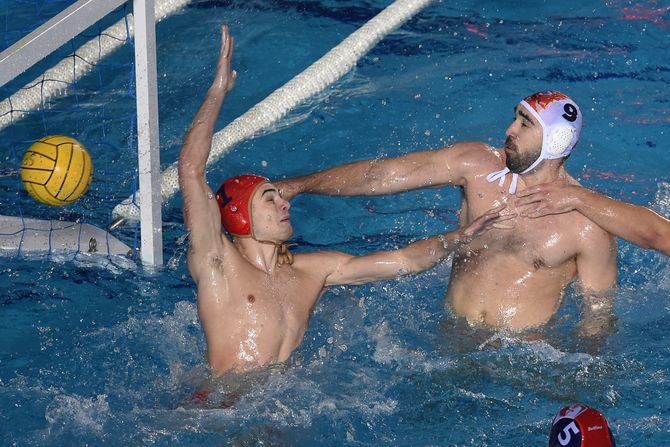 Nebojša Toholj Nebojša Toholj