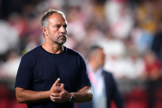 Hansi Flik Hansi Flik