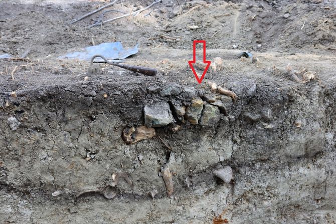 Groblje iz 13. veka Groblje iz 13. veka