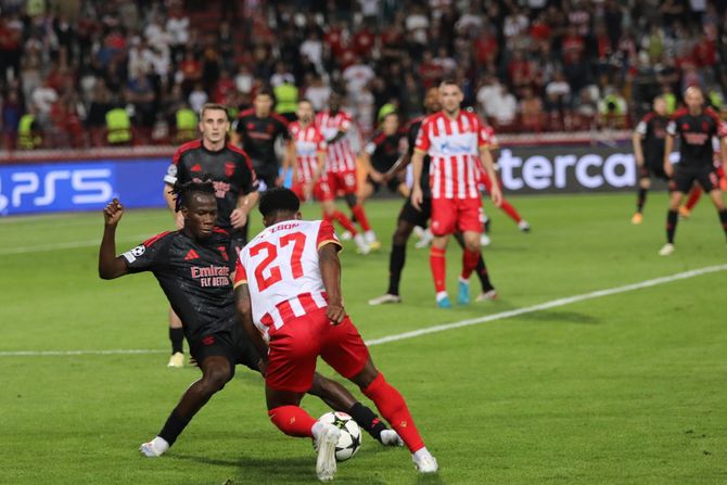 Fudbal FK Crvena zvezda FK Benfika UEFA Liga šampiona