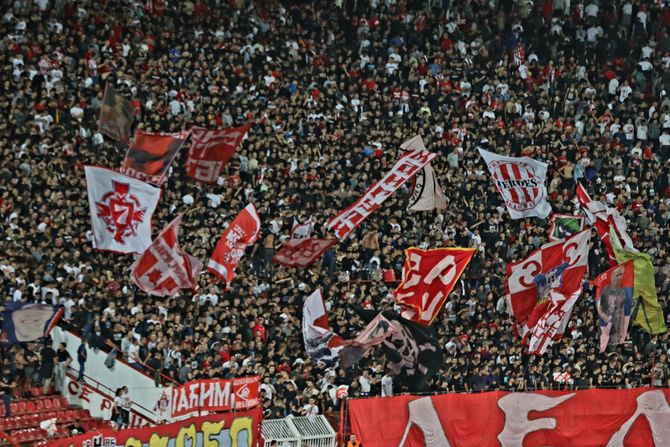 Fudbal FK Crvena zvezda FK Benfika UEFA Liga šampiona