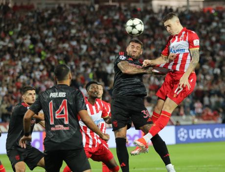 Fudbal FK Crvena zvezda FK Benfika UEFA Liga šampiona