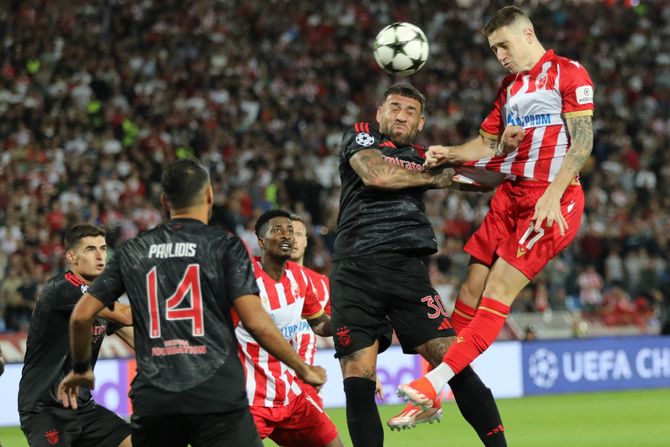 Fudbal FK Crvena zvezda FK Benfika UEFA Liga šampiona