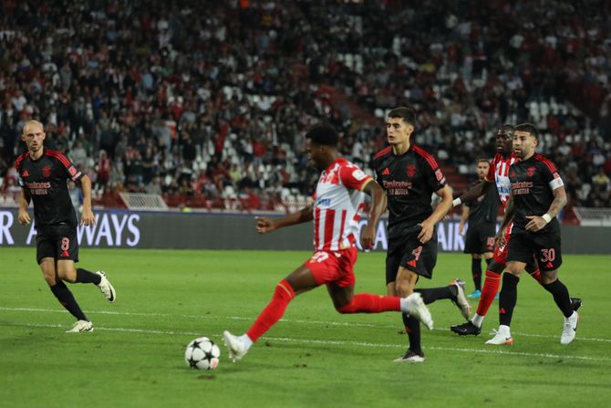 Fudbal FK Crvena zvezda FK Benfika UEFA Liga šampiona