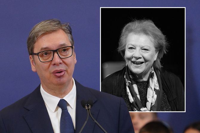 Aleksandar Vučić, Radmila Živković