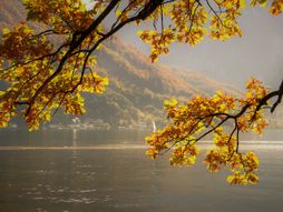 jesen, horoskop, voda, kiša, astrologija