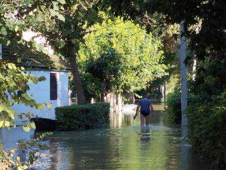Bezdan, Dunav, poplave Bezdan, Dunav, poplave