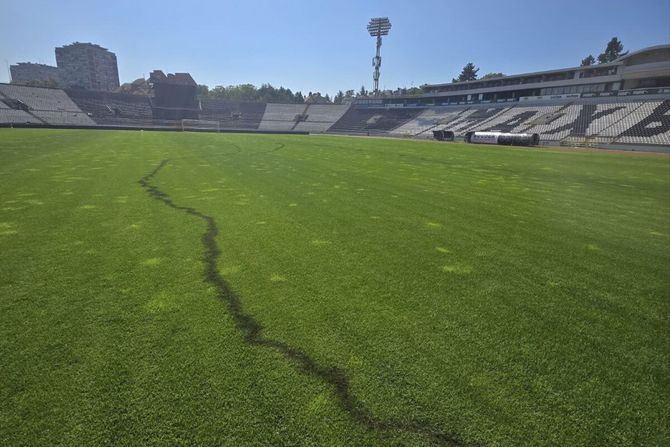 FK Partizan, teren