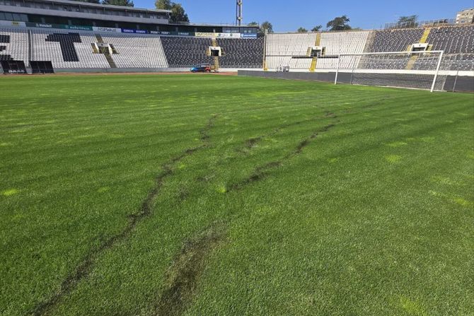 FK Partizan, teren