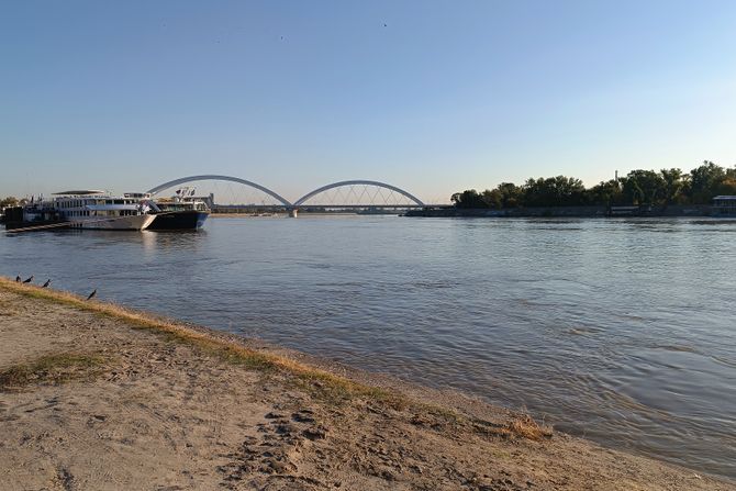 Novi Sad, vodostaj, Dunav