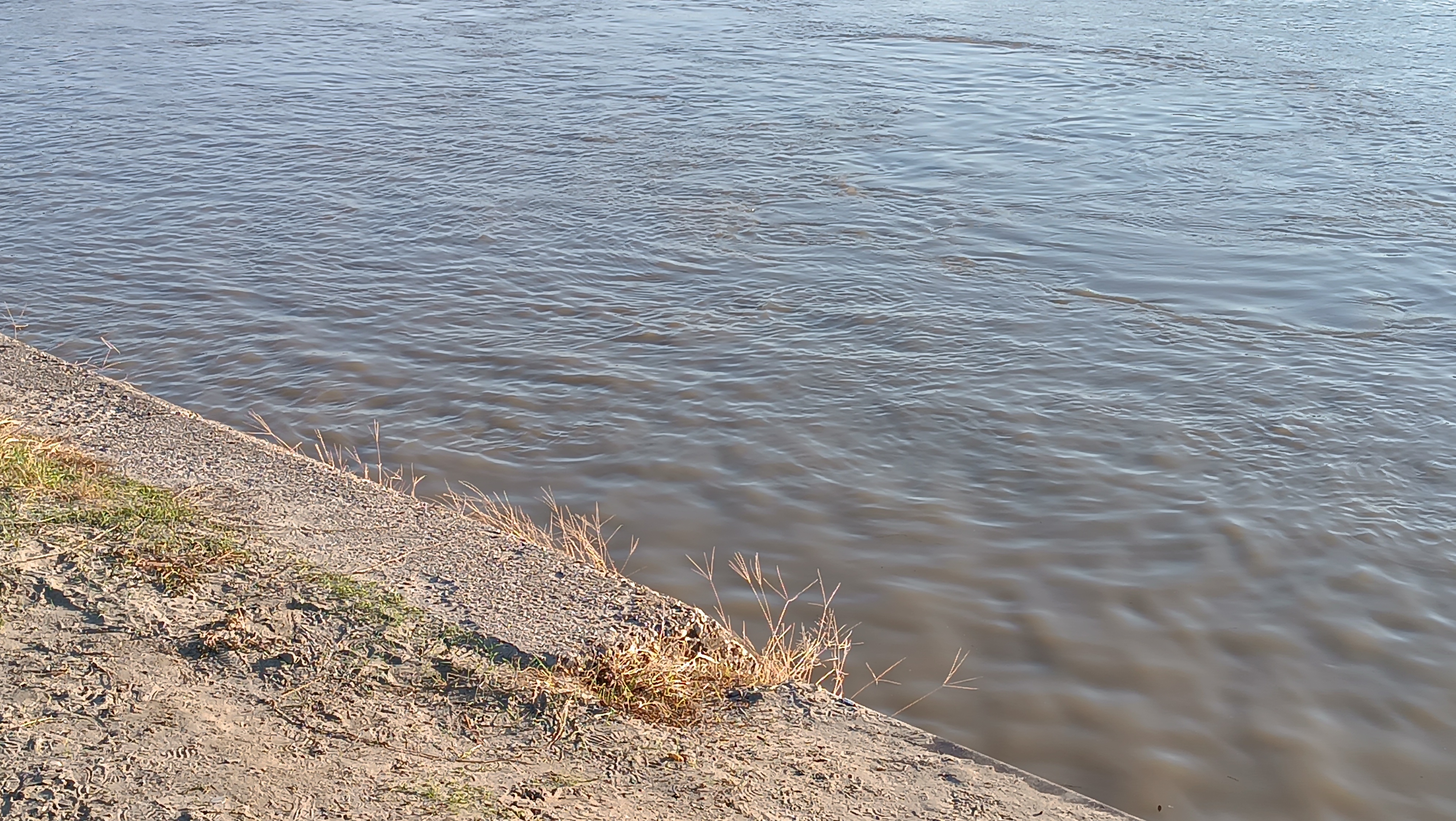 RHMZ izdao upozorenje: Sava u porastu, očekuje se prevazilaženje kritične granice kod Šapca