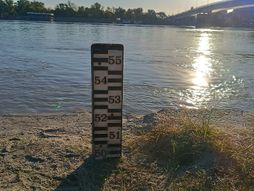 Novi Sad, vodostaj, Dunav