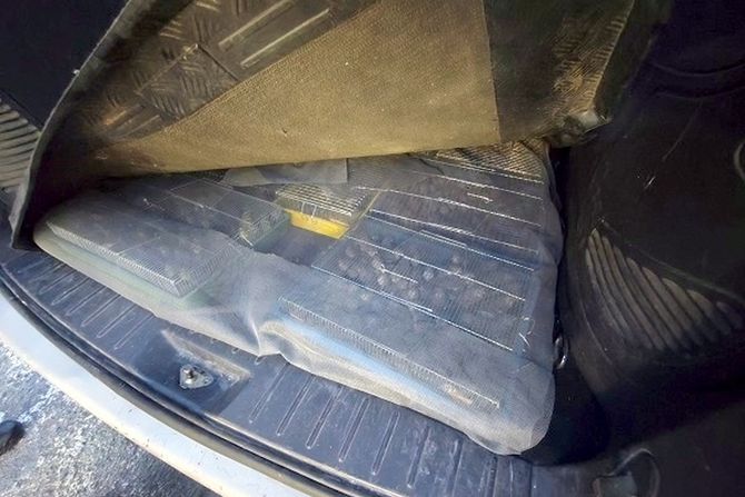 carinici, gradina, horgoš carinici, gradina, horgoš