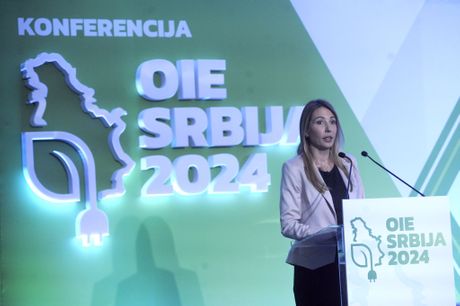 Dubravka Đedović Handanović