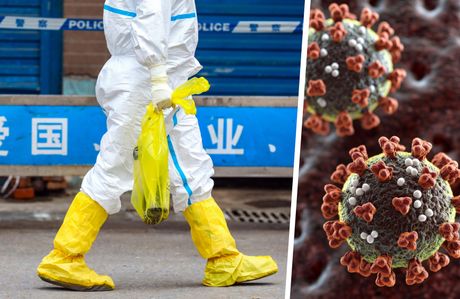 Pijaca u Vuhanu, korona