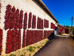 Selo Donja Lokošnica, selo paprike, Srbija