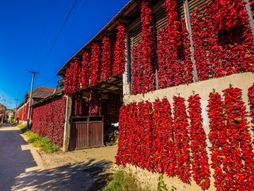Selo Donja Lokošnica, selo paprike, Srbija