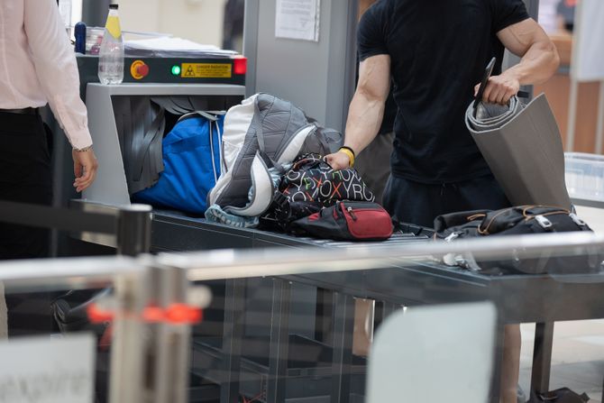 Piton u koferu Piton u koferu