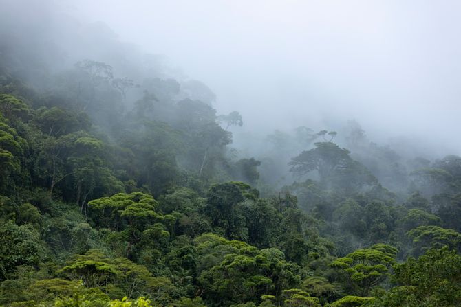 Brazil, planine