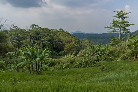 Gunung Padang, Indonezija