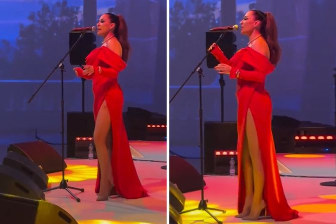 Ceca Ražnatović Ceca Ražnatović