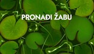 Ovo mogu da reše samo oni sa oštrim okom: Da li možete da pronađete žabu za 26 sekundi?