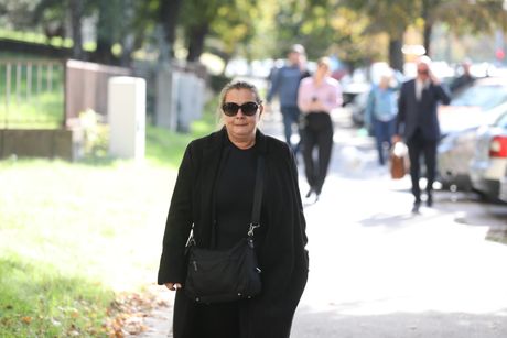 Specijalni sud, suđenje za Vladislav Ribnikar
