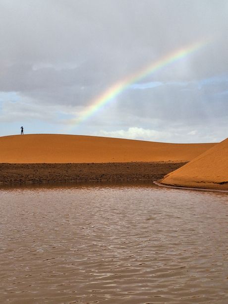 Sahara pustinja voda oaza