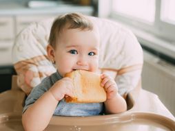 beba, korica hleba, hleb, grickanje hleba, dete jede hleb